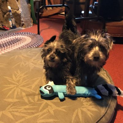 Natalie, Nash, and Toy